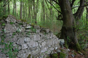 Gort Wall